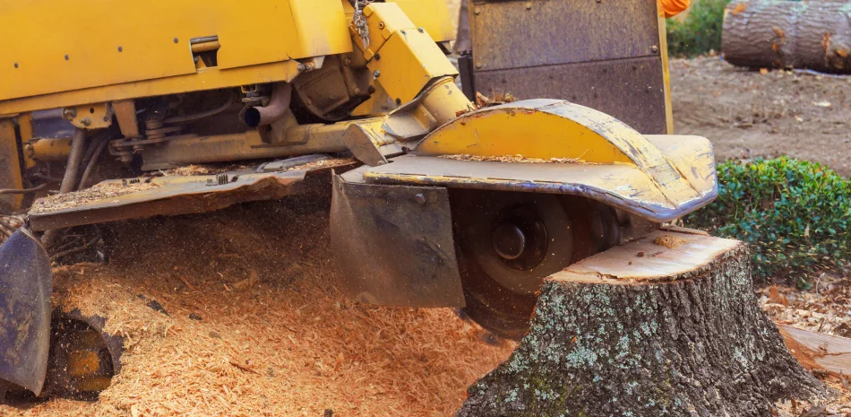 Stump Removal