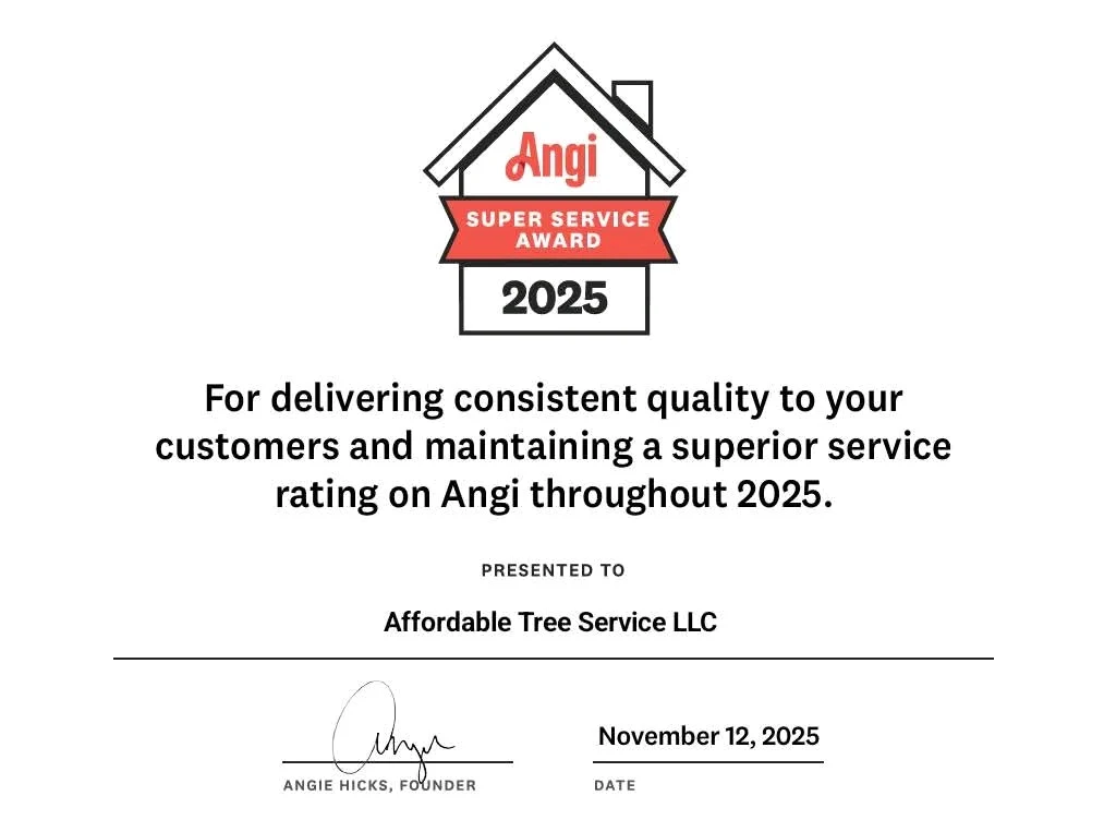 affordable tree service llc lockport ky 2025 11 24T15:00:31.371083Z 66919 1