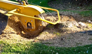 flipcard Stump Removal